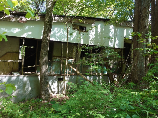 木々で覆われ、窓が壊れている空き家。